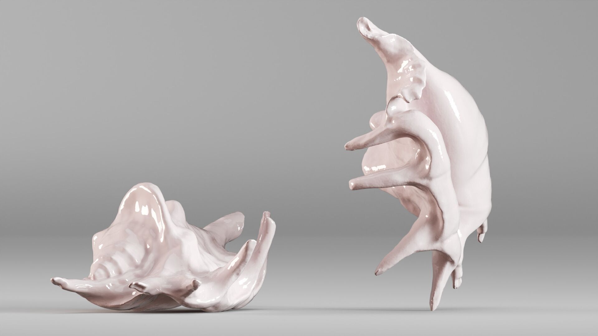 001635 Seashell Detailed Scan Model for Art and Decor 3D print model_6