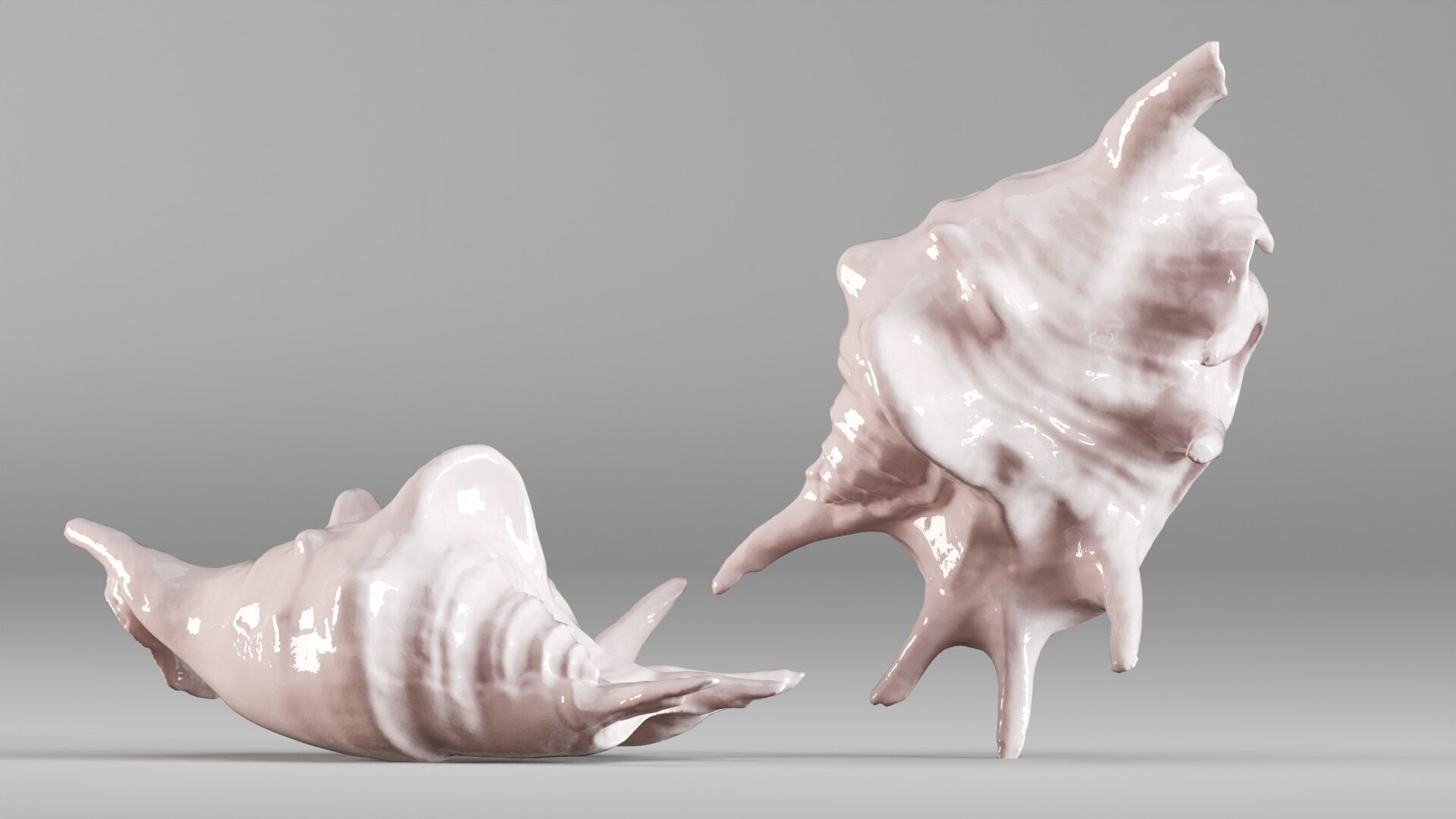 001635 Seashell Detailed Scan Model for Art and Decor 3D print model_1