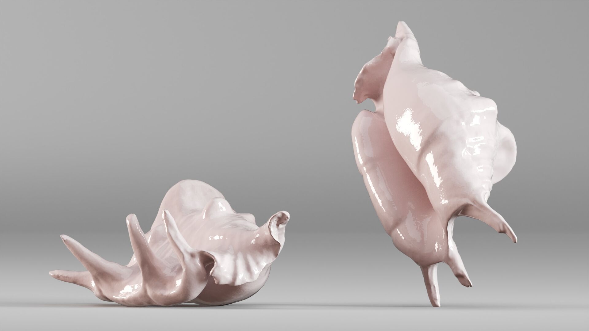 001635 Seashell Detailed Scan Model for Art and Decor 3D print model_4