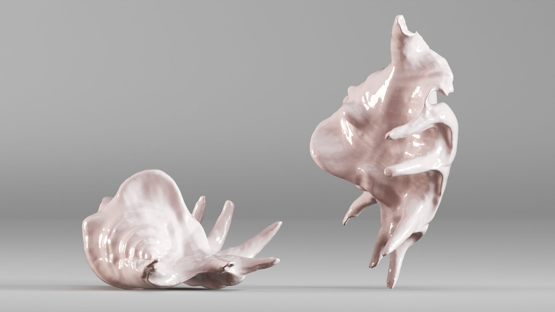 001635 Seashell Detailed Scan Model for Art and Decor 3D print model_7
