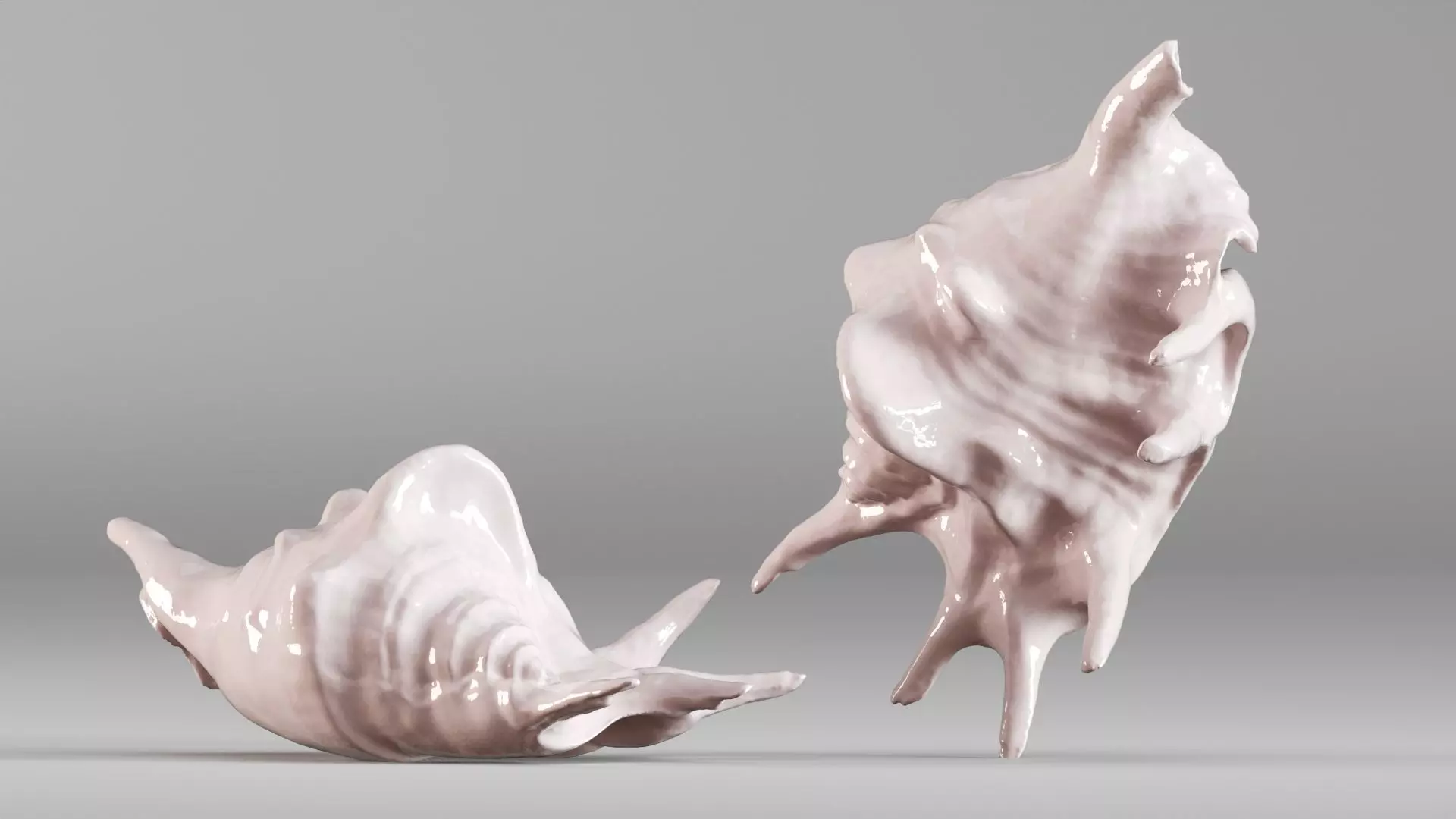 001635 Seashell Detailed Scan Model for Art and Decor 3D print model_0