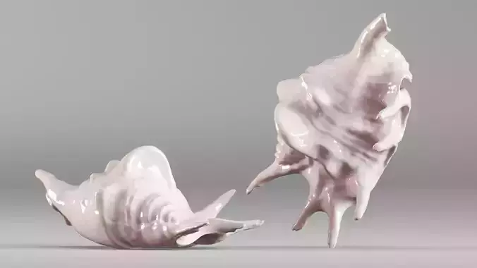 001635 Seashell Detailed Scan Model for Art and Decor 3D print model