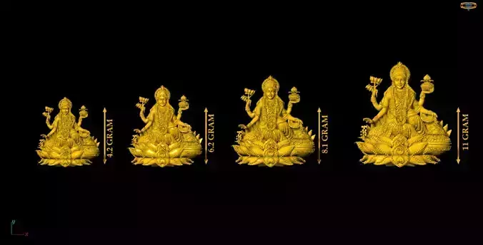 Laxmi 3D Printed Model