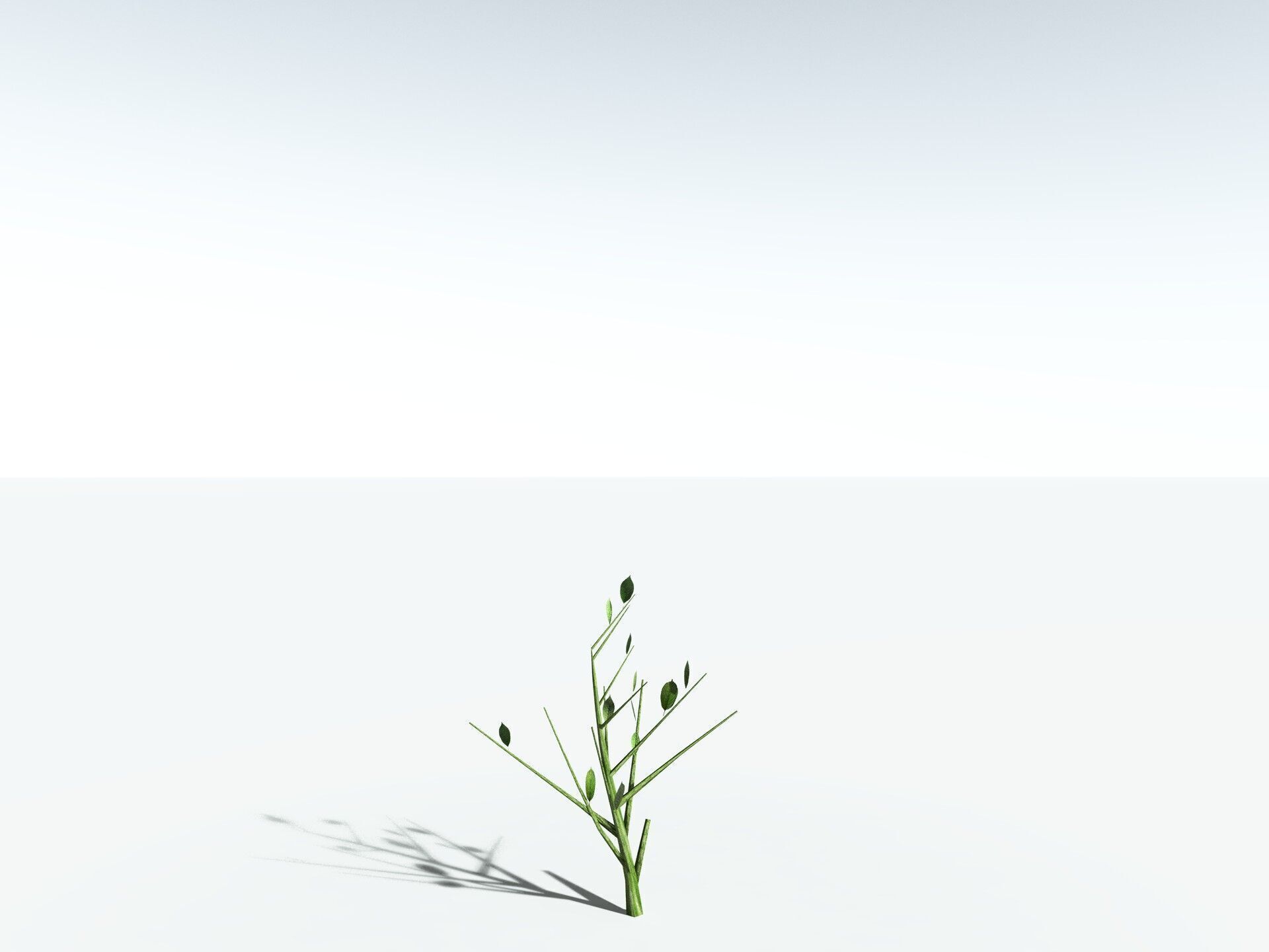 EVERYPlant Japanese Cherry LowPoly Low-poly 3D model_37