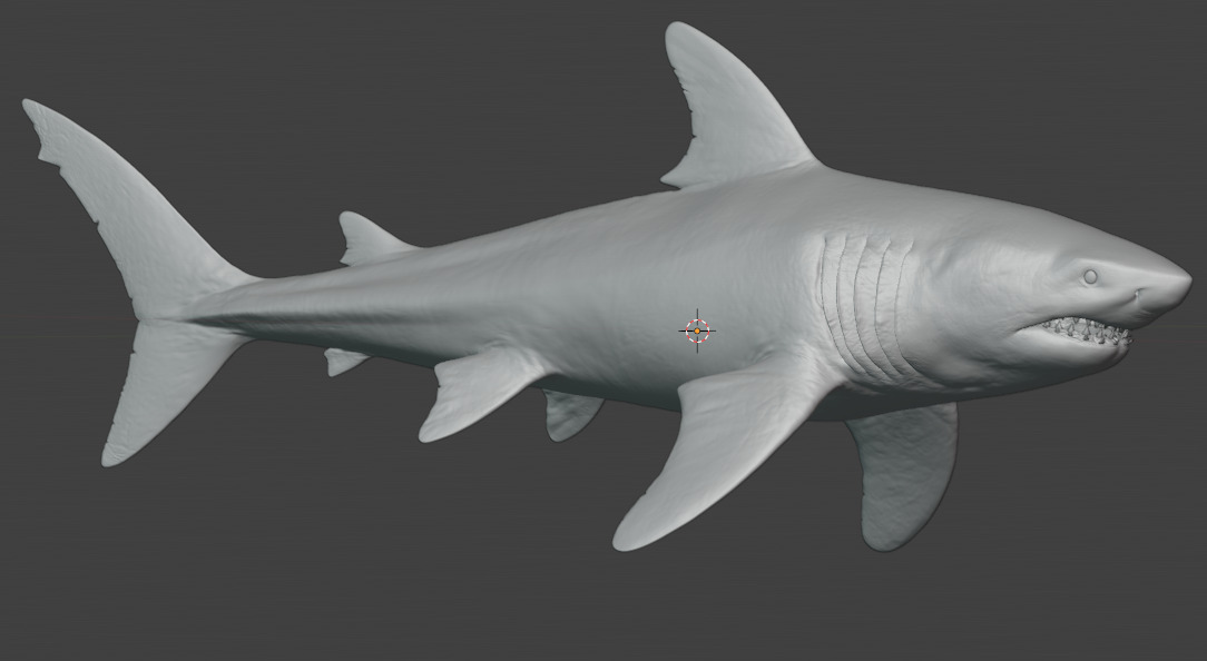 Megalodon Animated  Low-poly 3D model_15