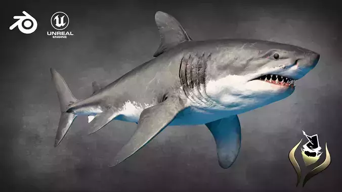 Megalodon Animated  Low-poly 3D model