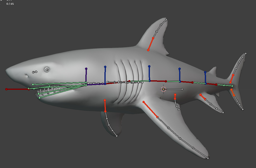 Megalodon Animated  Low-poly 3D model_21