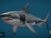 Megalodon Animated  Low-poly 3D model_1