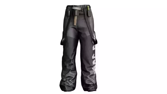 Mechanics Pants
