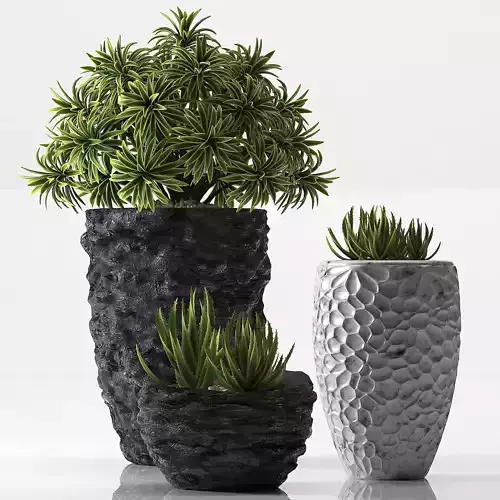 plant set 31