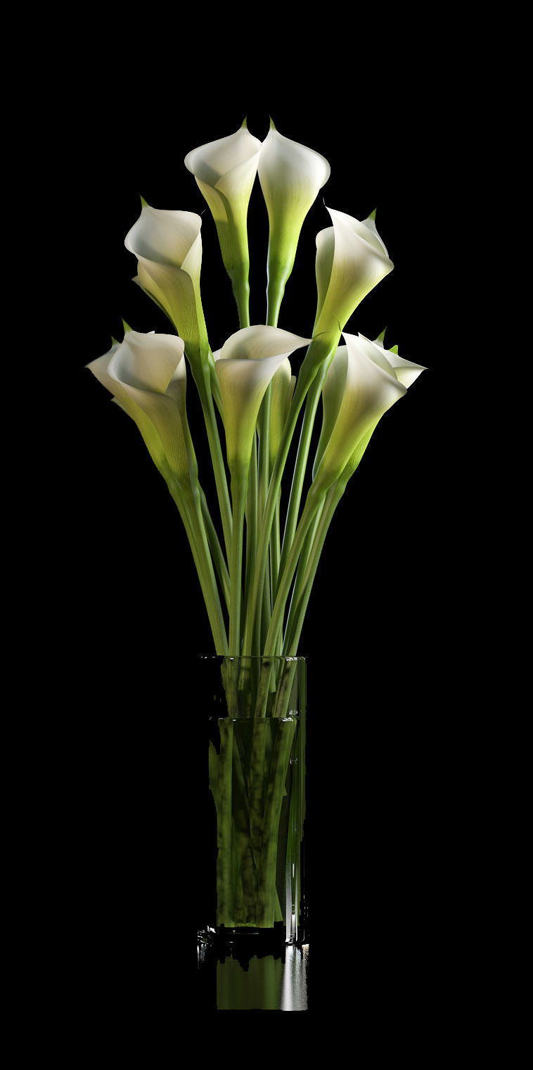 calalilly white set 3D model_4