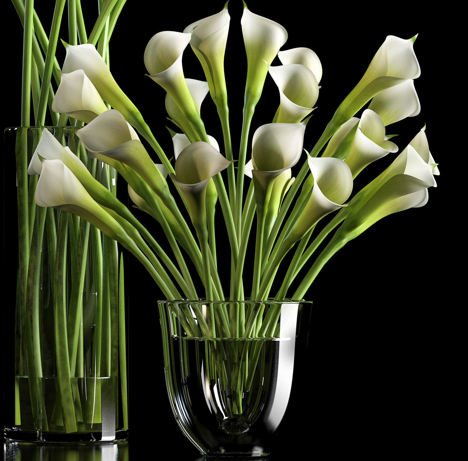 calalilly white set 3D model_3