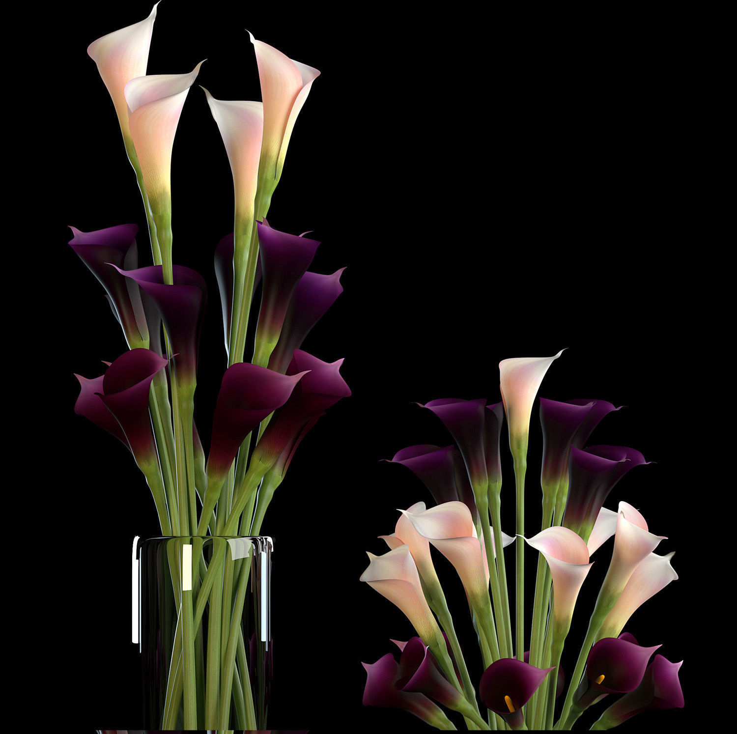 callalilly purple set 3D model_2