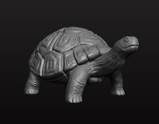 Turtle - High Detailed 3D print model