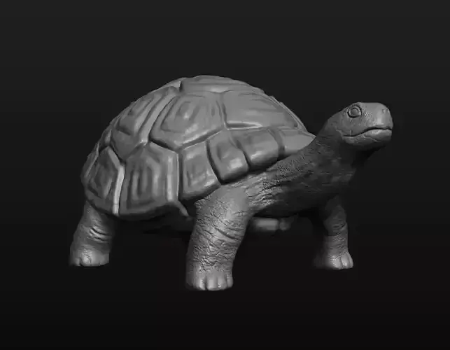 Turtle - High Detailed 3D print model