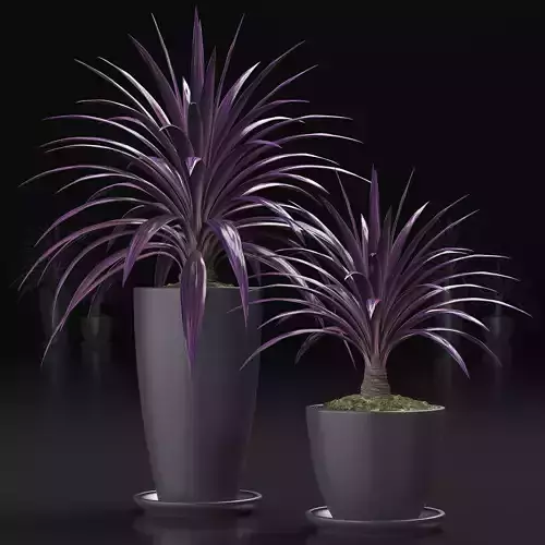 Plants 16