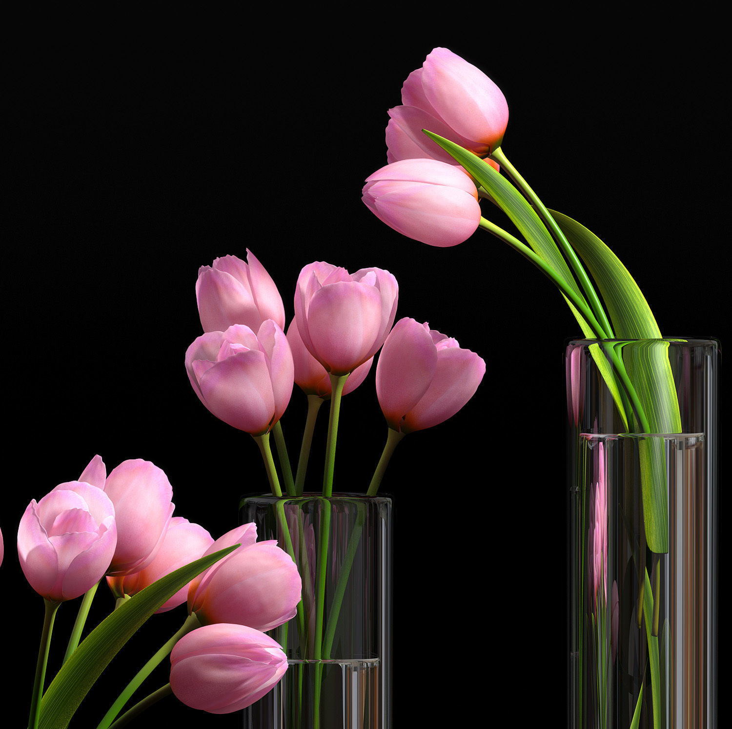 pink tulip set 5 3D model_2