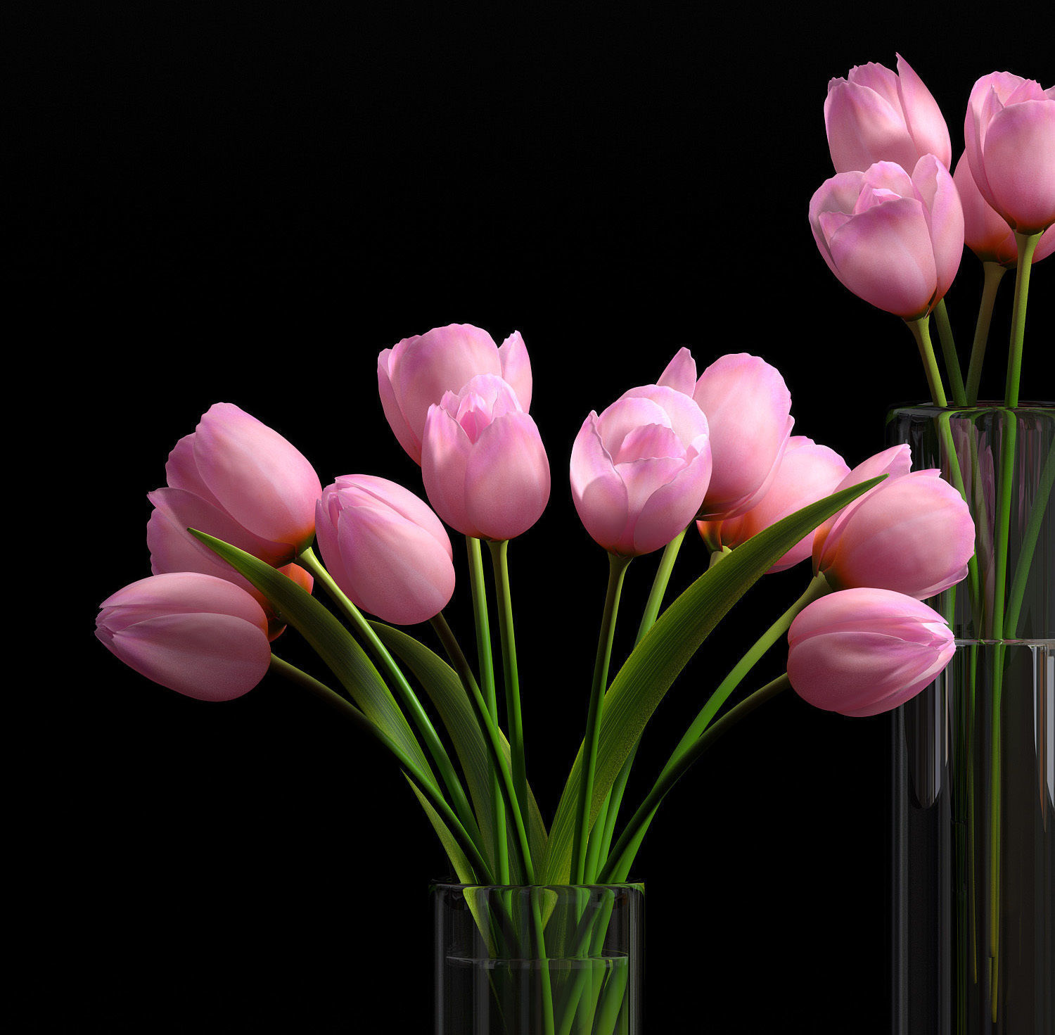 pink tulip set 5 3D model_3