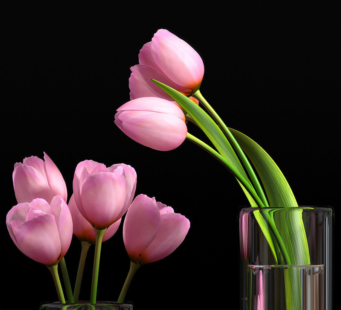 pink tulip set 5 3D model_4
