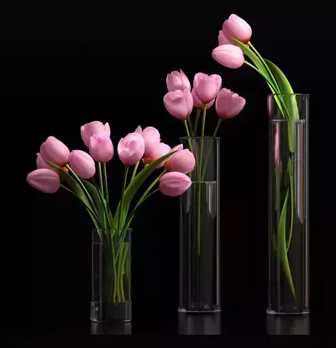pink tulip set 5