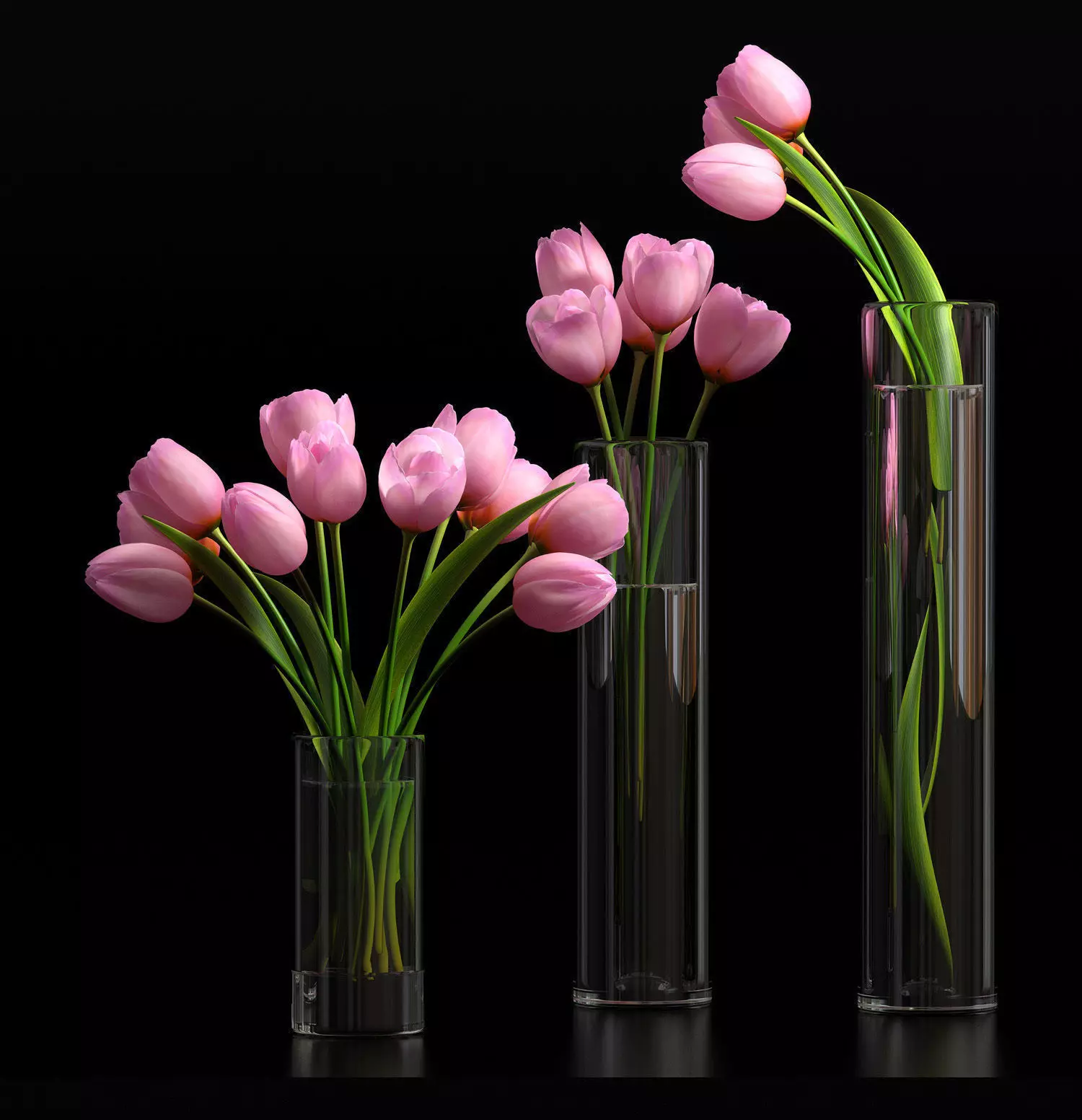 pink tulip set 5 3D model_0