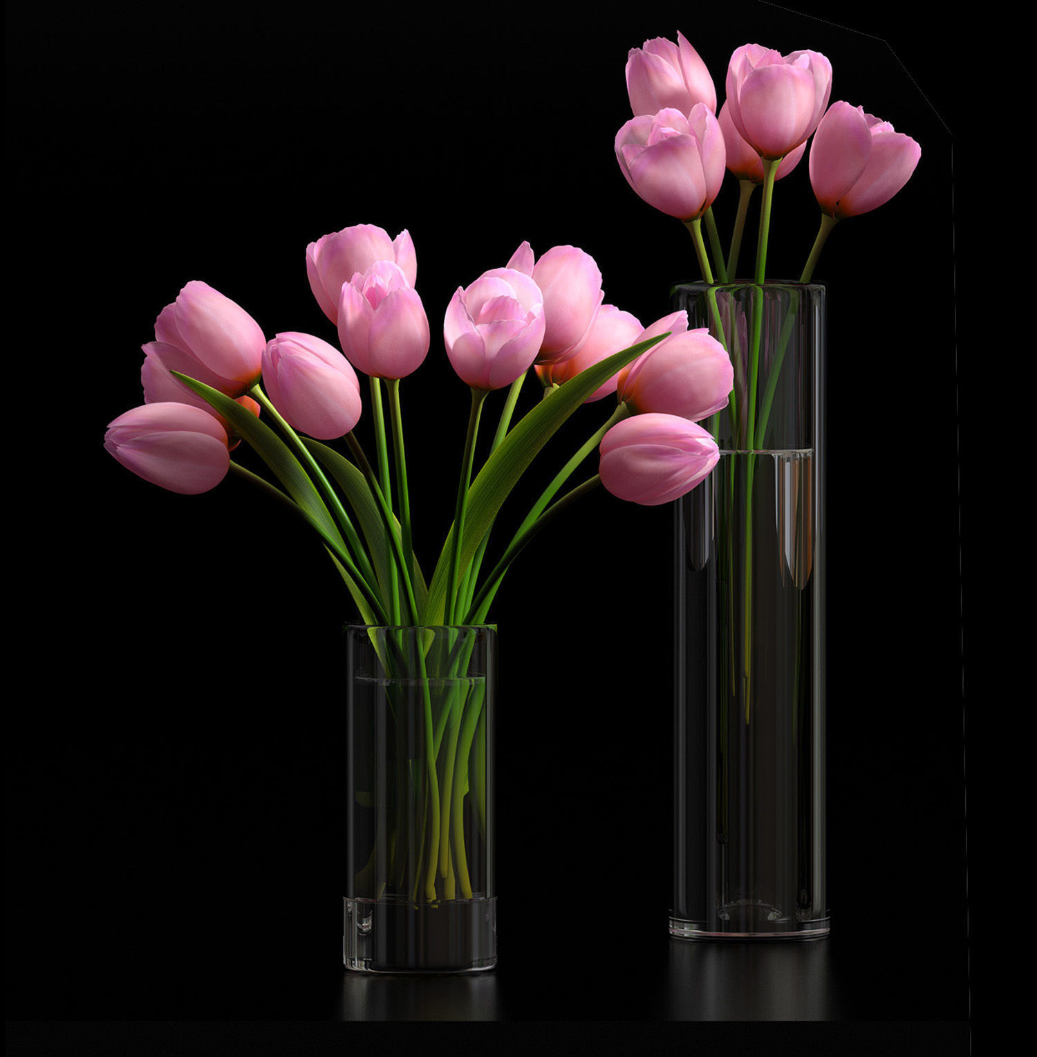 pink tulip set 5 3D model_1