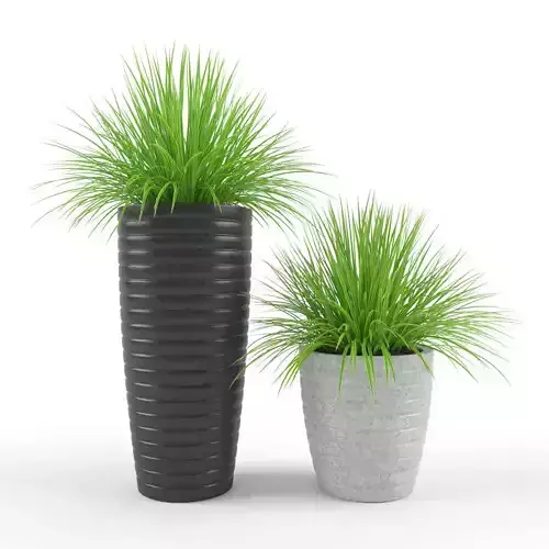 Grass - Set 1 two pots of 3D model