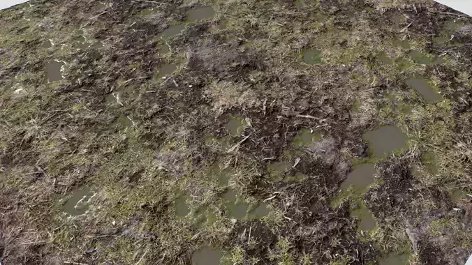 Ground terrain rough forest PBR pack 2 Texture