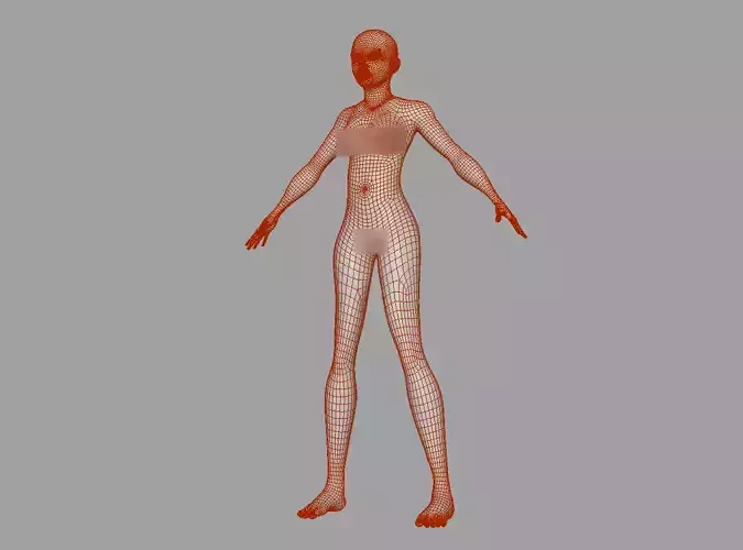 Female Base Mesh