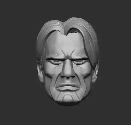 Stylized Head 2 for Action Figures 3D print model