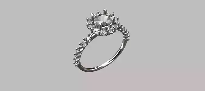 Shower Ring 3D print model