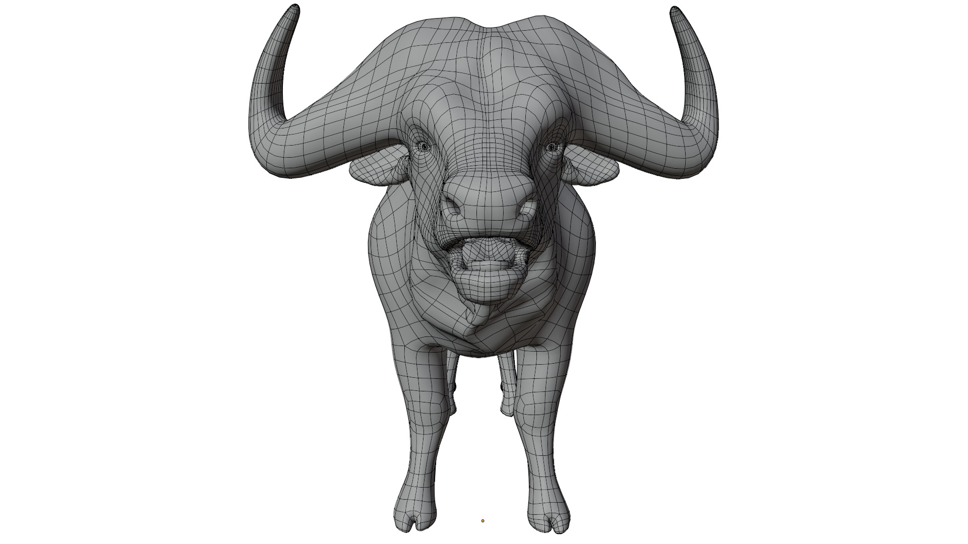 African Buffalo 3D model_16