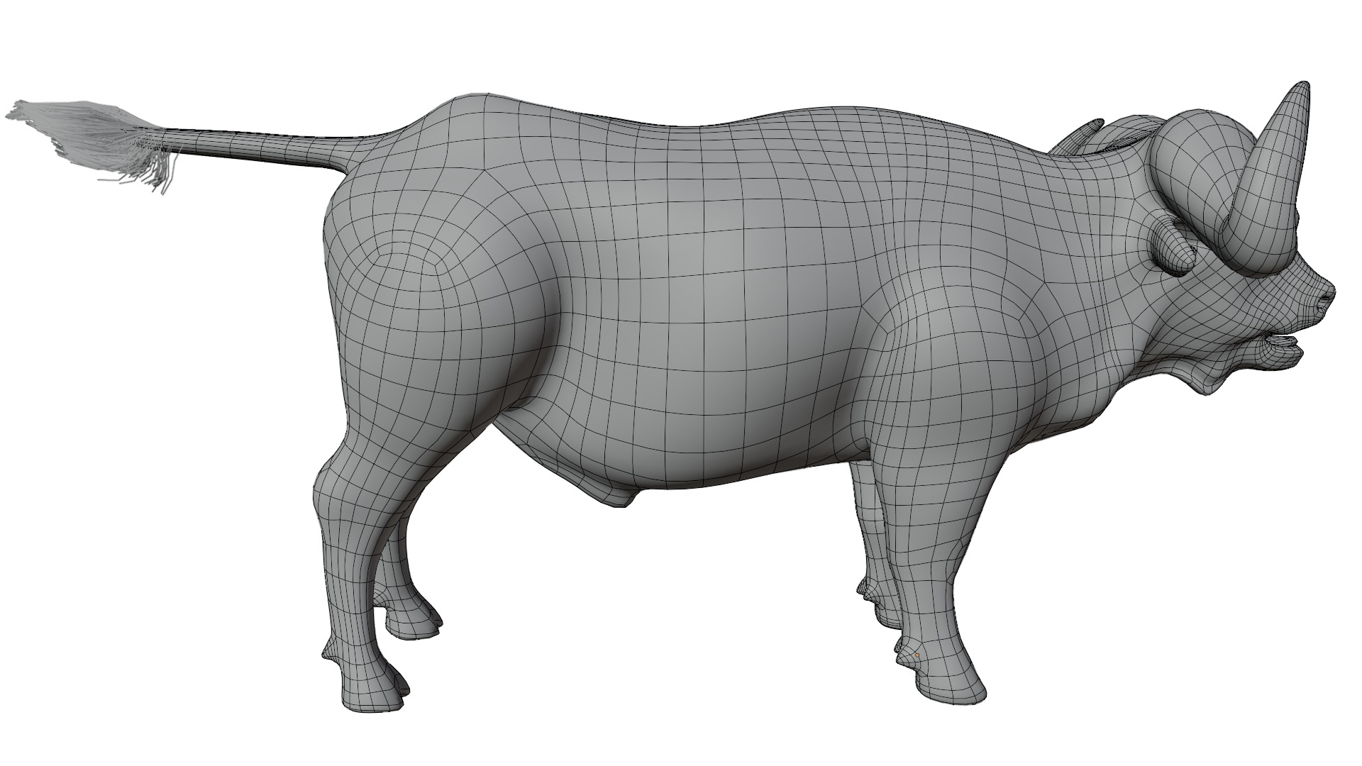 African Buffalo 3D model_14