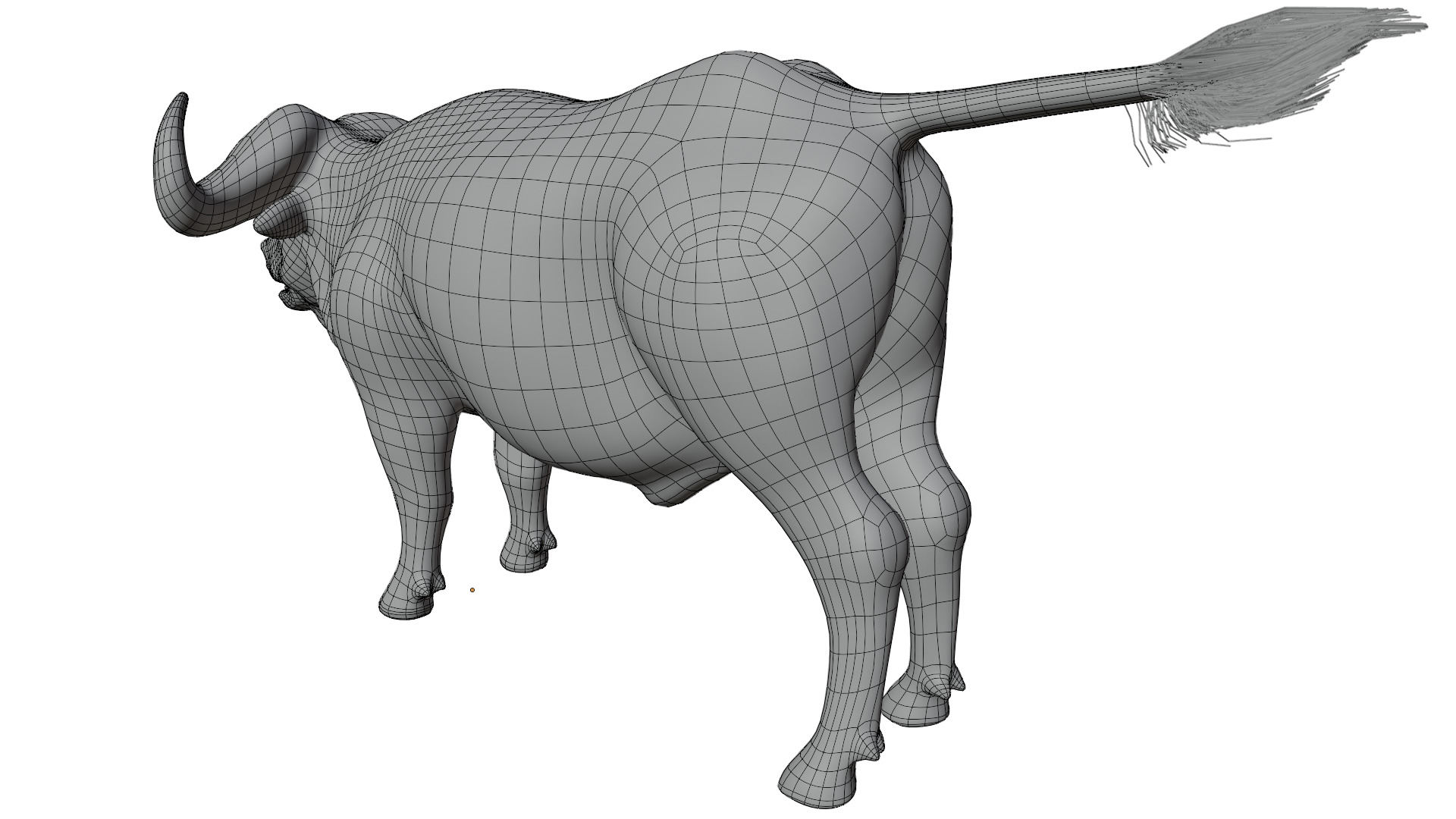 African Buffalo 3D model_11