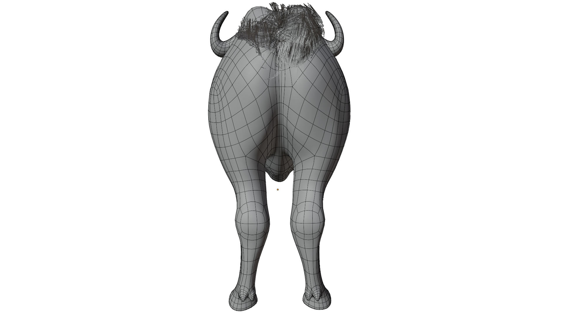 African Buffalo 3D model_12