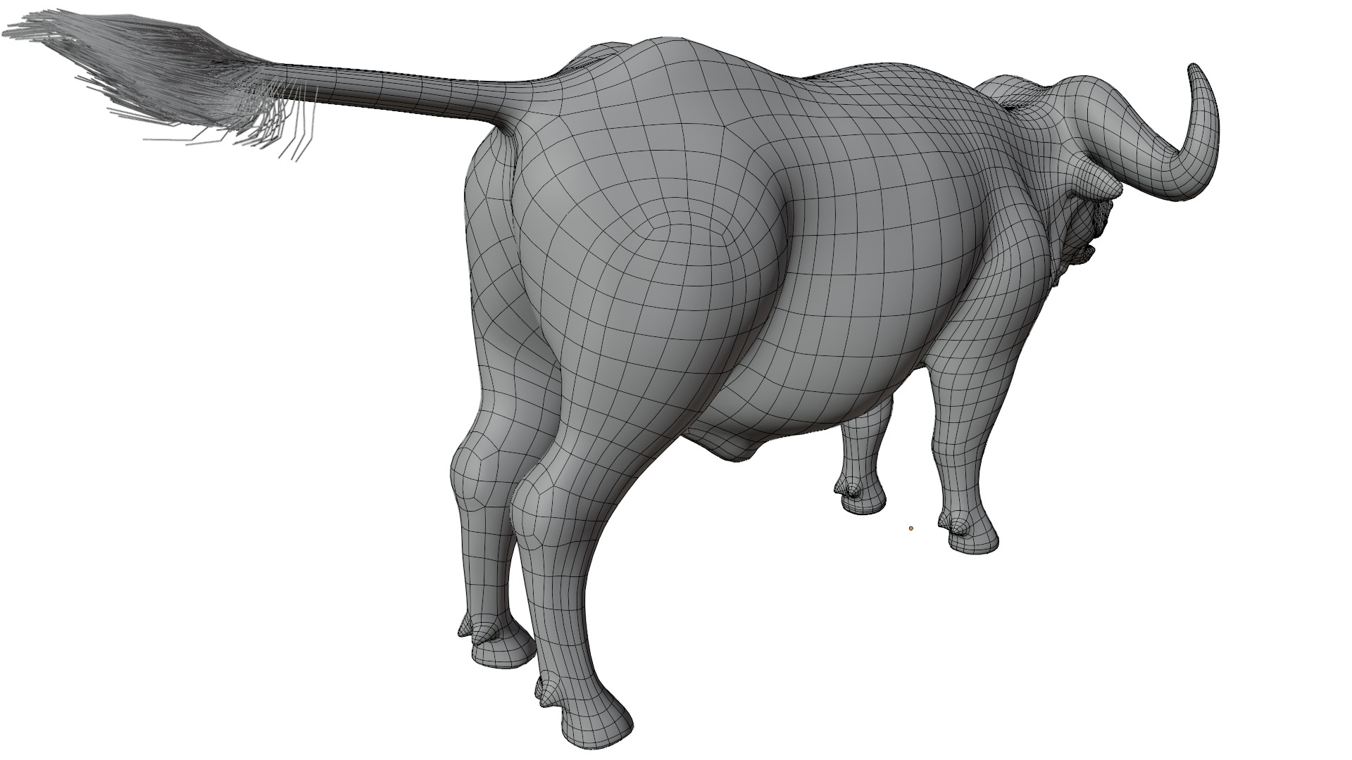 African Buffalo 3D model_13