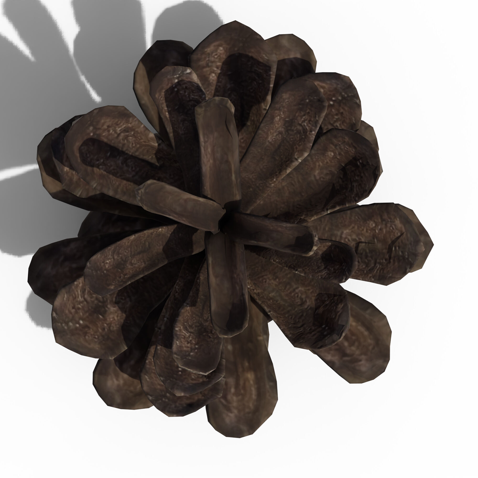 Pine Cone 3D model_8