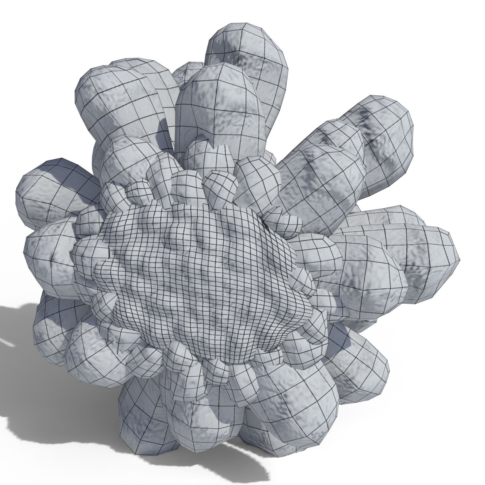 Pine Cone 3D model_17