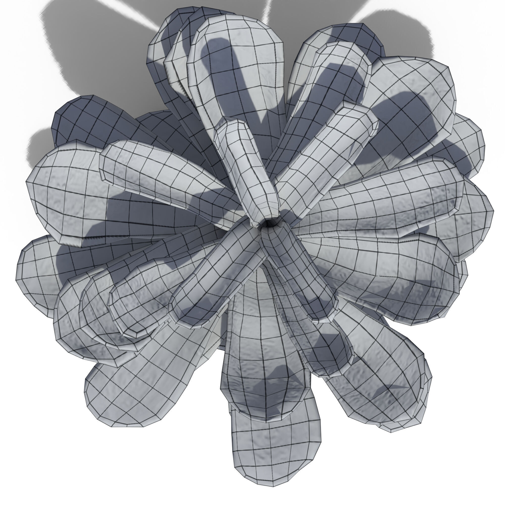 Pine Cone 3D model_15