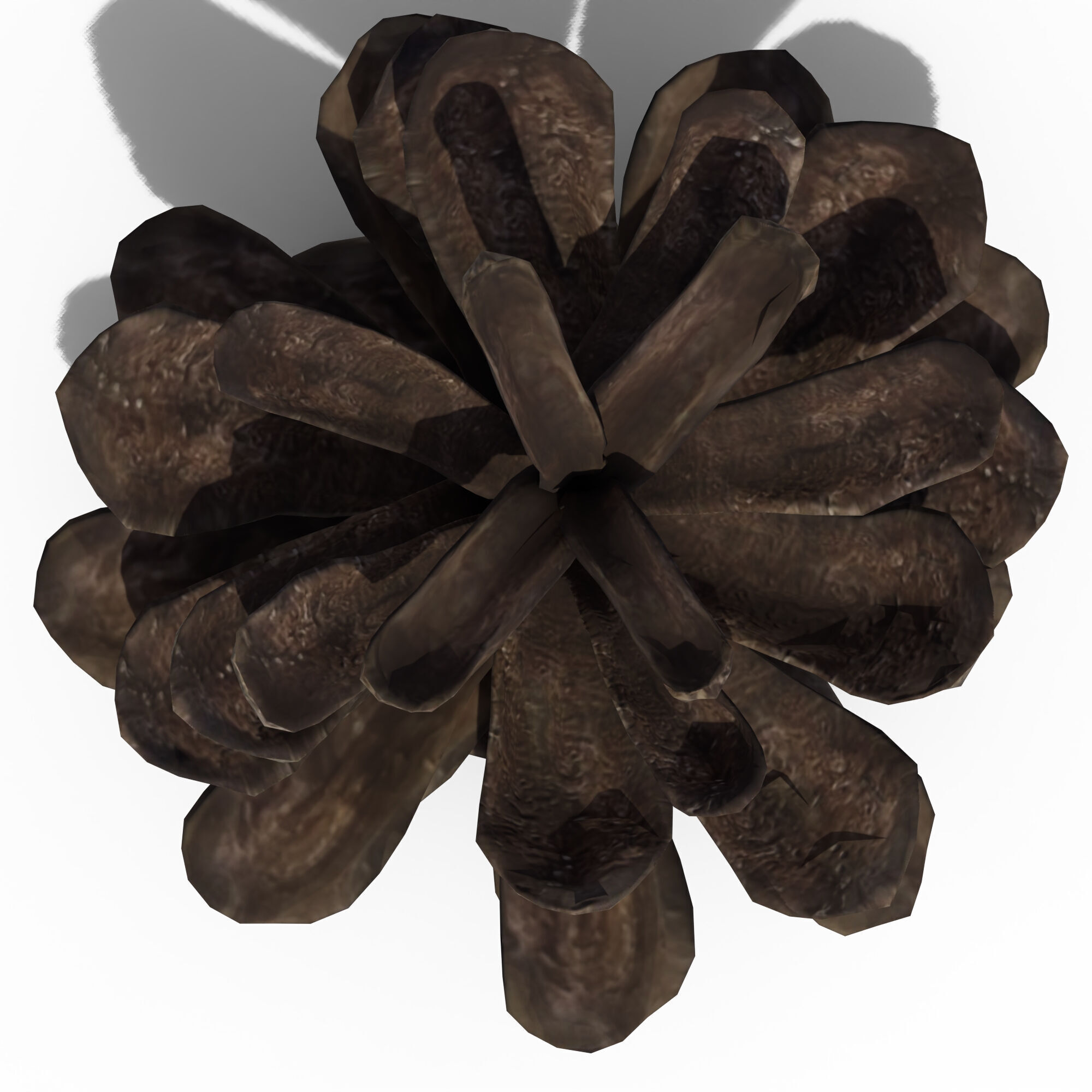 Pine Cone 3D model_14