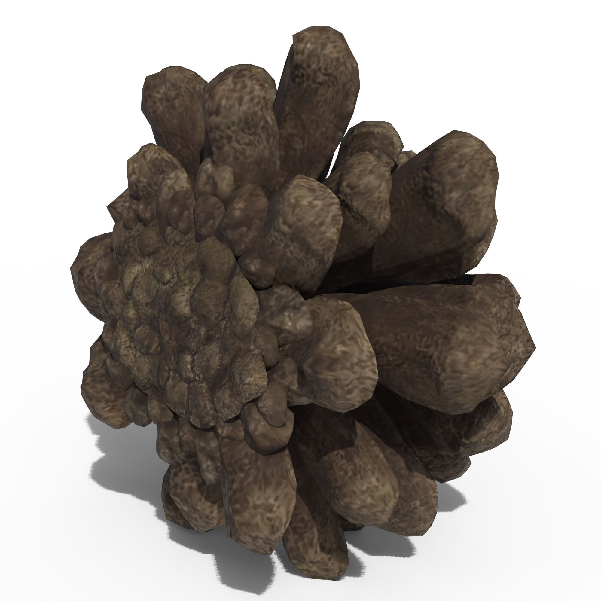 Pine Cone 3D model_11