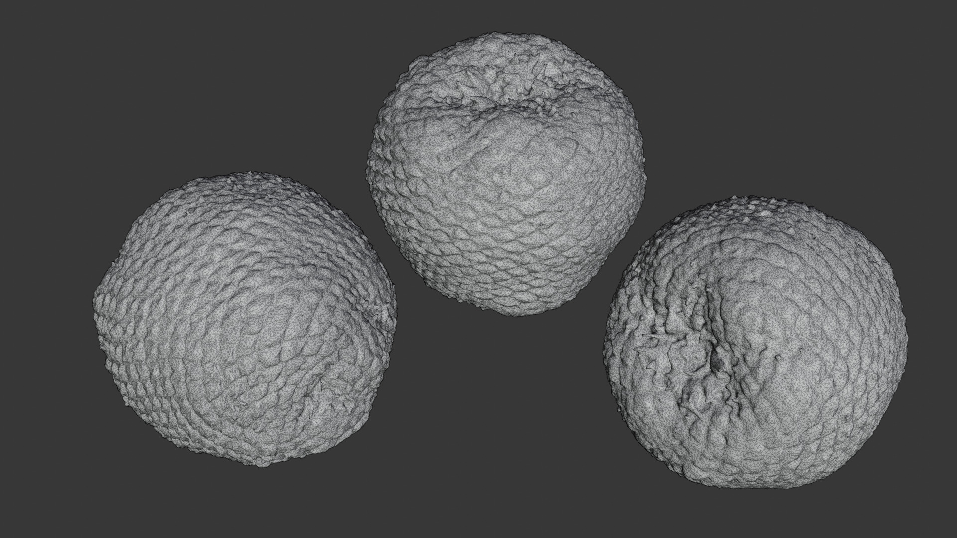 Araucaria Pine Cone Pack 3D model_5