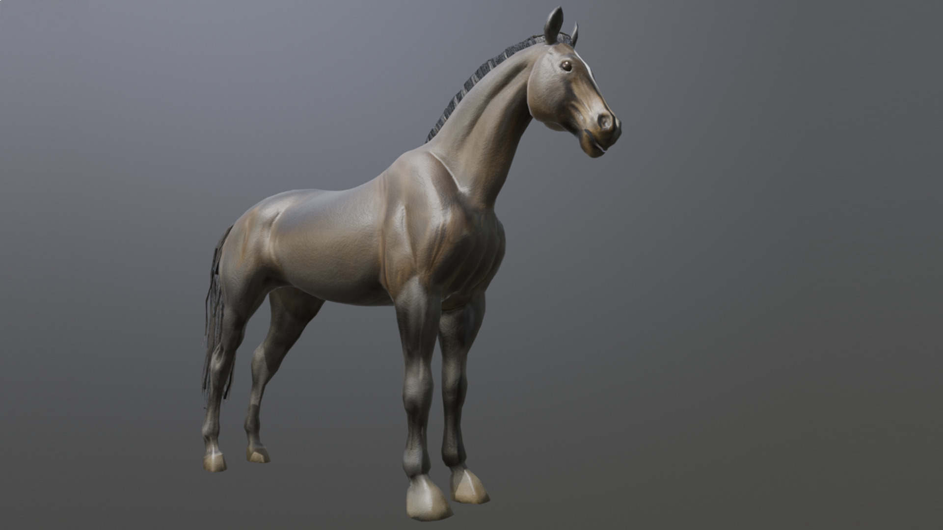 Realistic Muscular Horse Low-poly 3D model_9