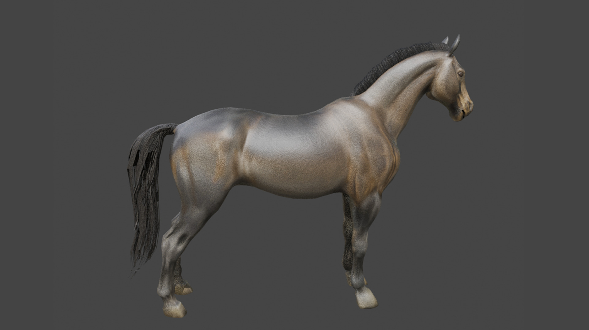 Realistic Muscular Horse Low-poly 3D model_12