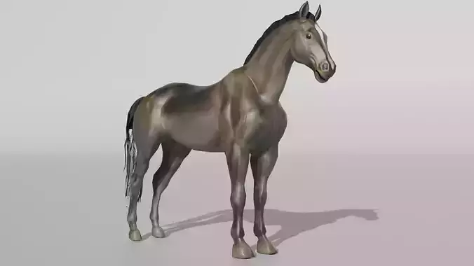 Realistic Muscular Horse Low-poly 3D model