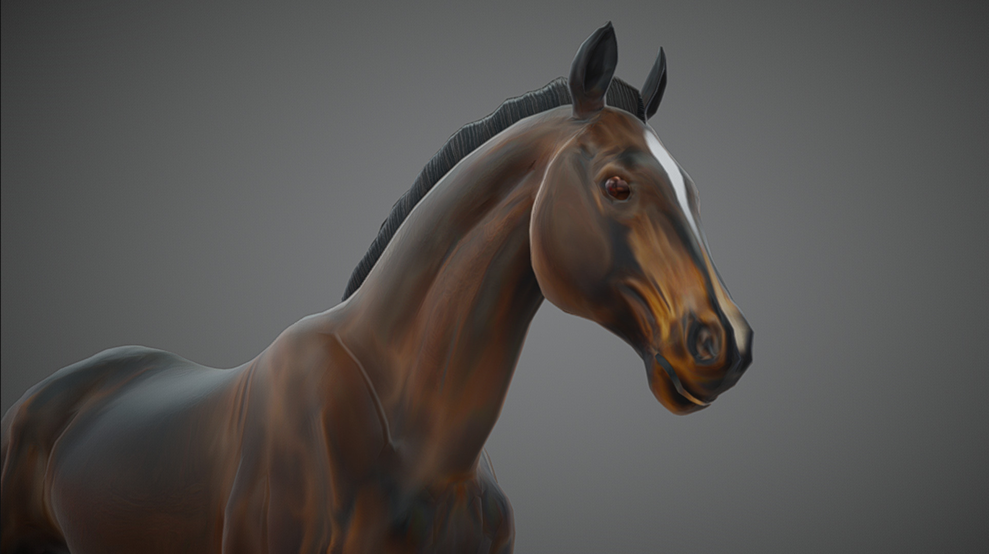 Realistic Muscular Horse Low-poly 3D model_5