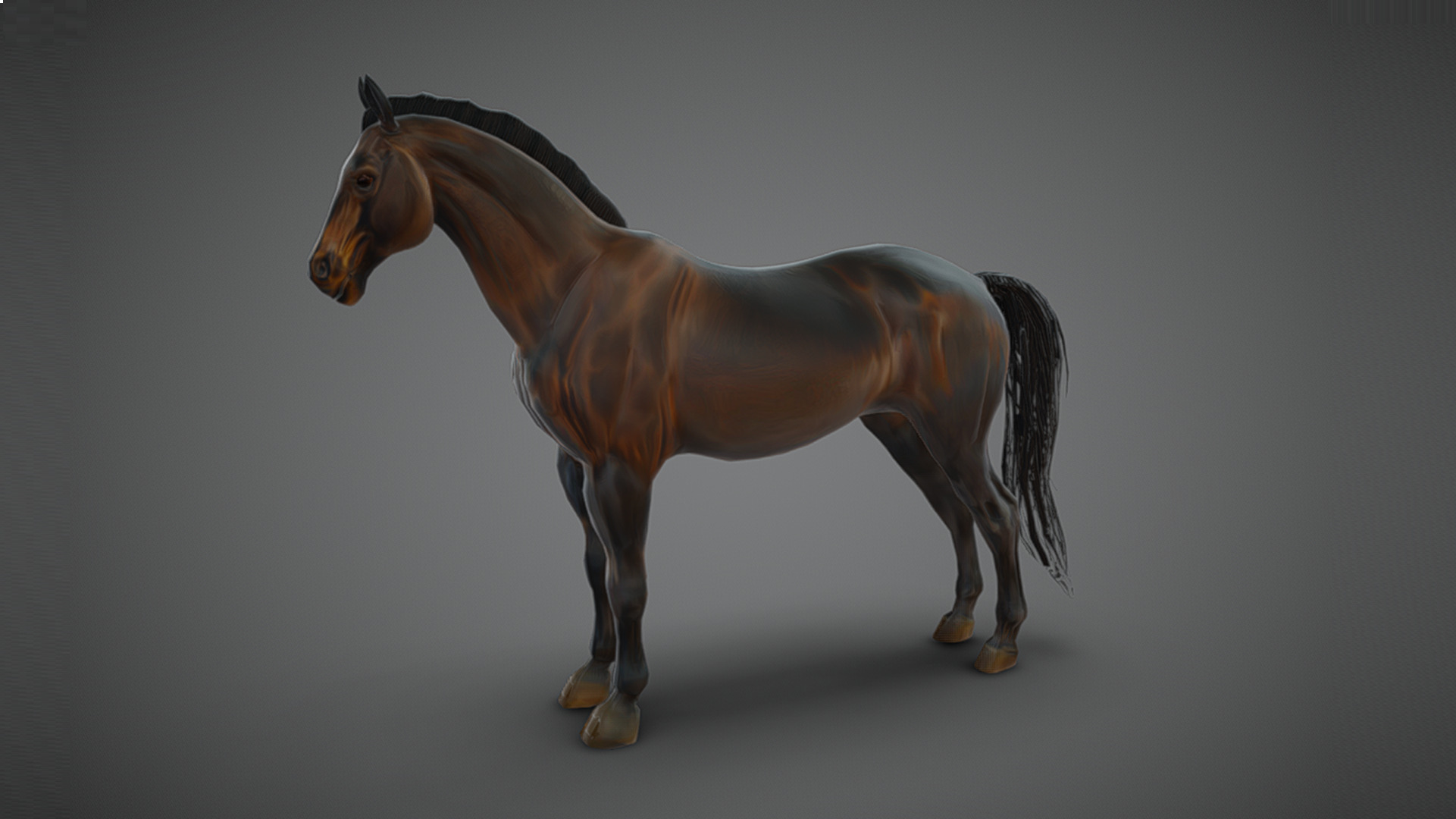 Realistic Muscular Horse Low-poly 3D model_3