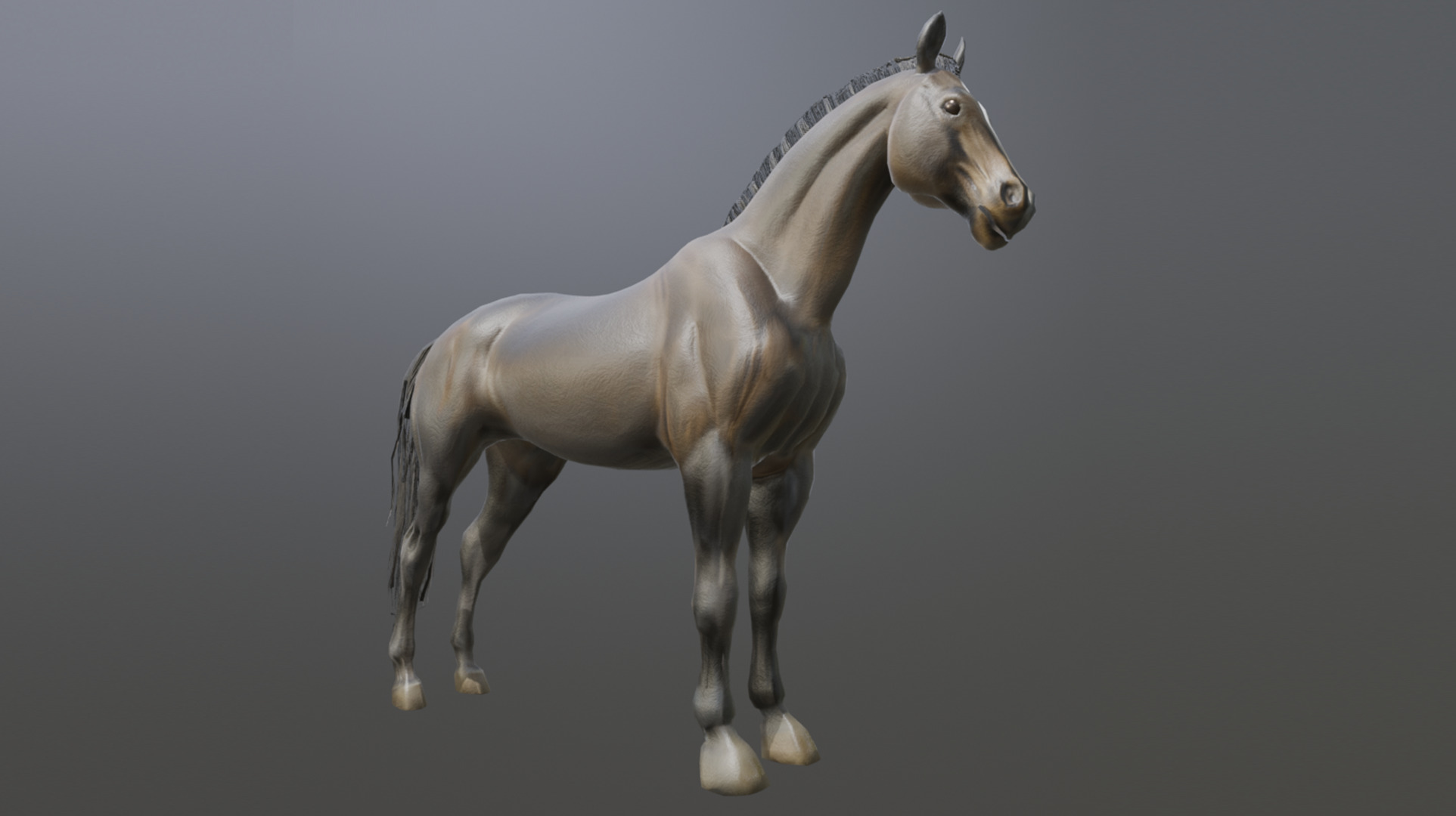 Realistic Muscular Horse Low-poly 3D model_11