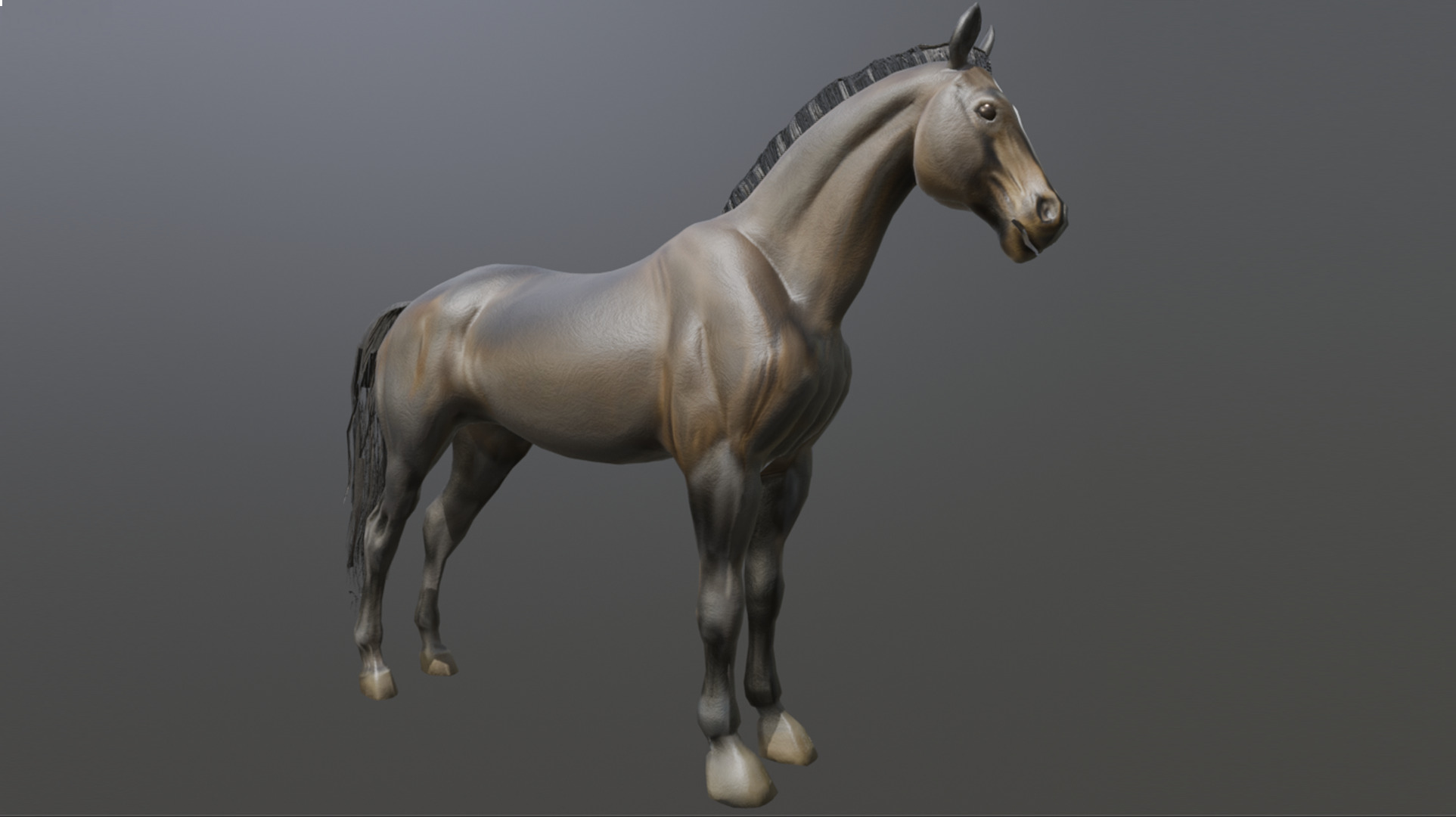 Realistic Muscular Horse Low-poly 3D model_10