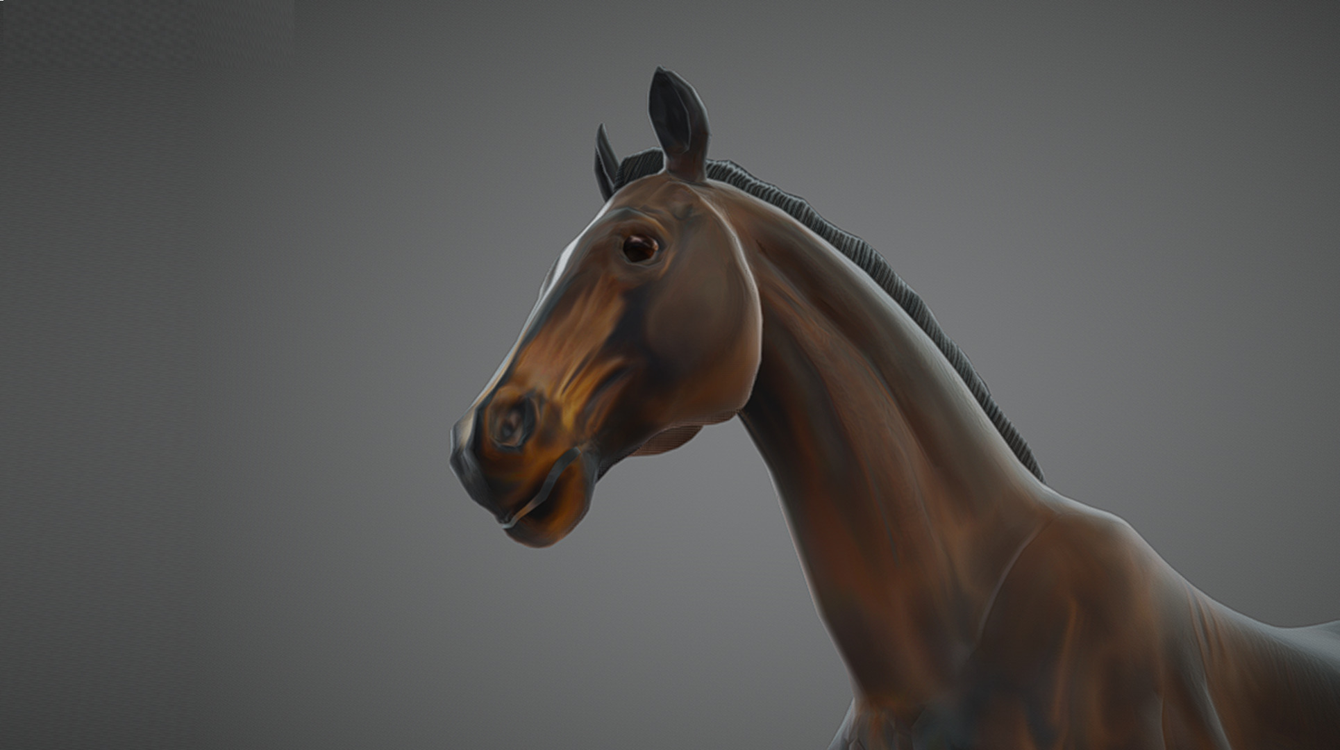 Realistic Muscular Horse Low-poly 3D model_6